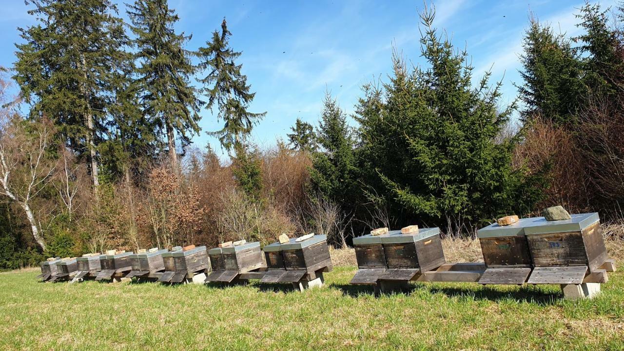 Ferienwohnung Gruengut Weckersdorf Bagian luar foto